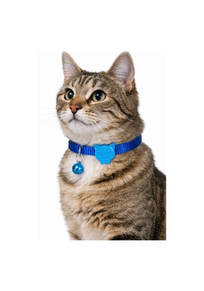 Urban Paws Kedi Tasması Deep Ocean Blue Ayarlanabilir, Dayanıklı, Hafif-10mm