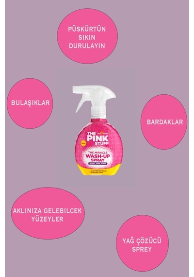 Wash-up Yağ Çözücü Sprey 500 ML
