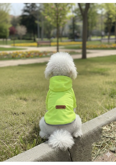 Patilinka Kedi Köpek Kışlık Kıyafet Yeşil Kapüşonlu Yağmurluk