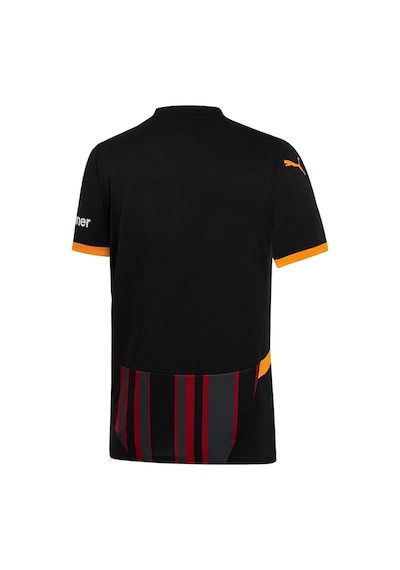 Galatasaray Puma 2024/2025 Alternatif Forma 77965403