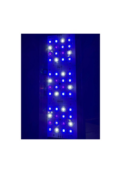 Nano C Reef Serisi