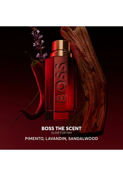 The Scent Elixir Parfum 100 Ml Erkek Parfüm Aromatik