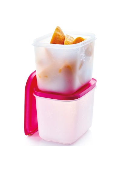 Tupperware Alaska Kap Yüksek Gövdeli 2'li Set 1.1L