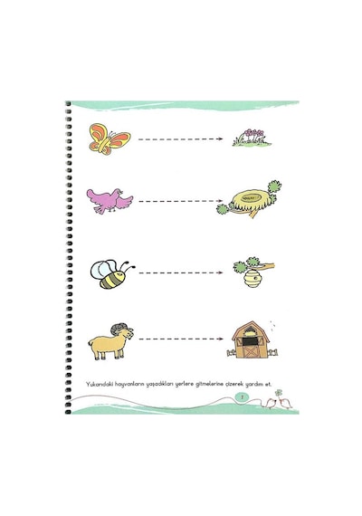 4-5 Yaş Minik Bilginler Çizgiler Kitabı Eğiten Kitap
