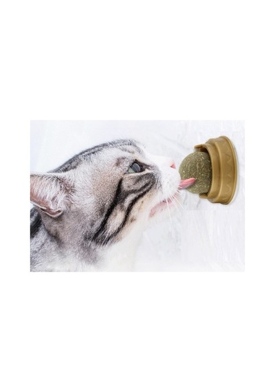 Kedi Otu Oyun Topu Cat Mint 0.05 M
