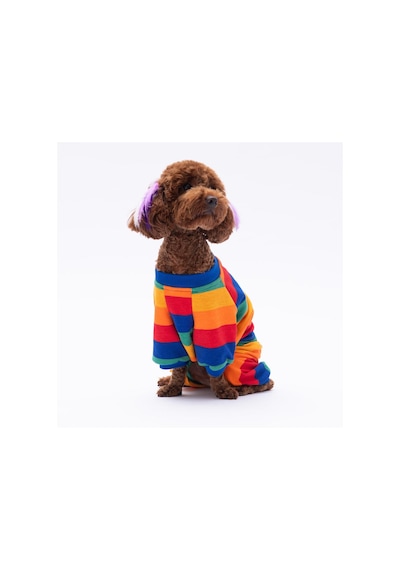 Ruby Gökkuşağı Penye Tulum Kedi Köpek Tulumu Kedi Köpek Kıyafeti Köpek Pijaması