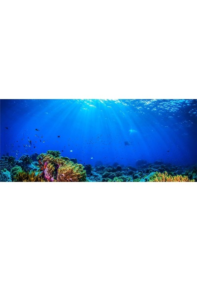 Kanki Pet Kp1556532 Akvaryum Arka Fon Yapıştırma 155 X 65 Cm