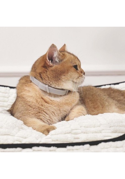 M-pets Keep Calm Sakinleştirici Kedi Tasması Gri