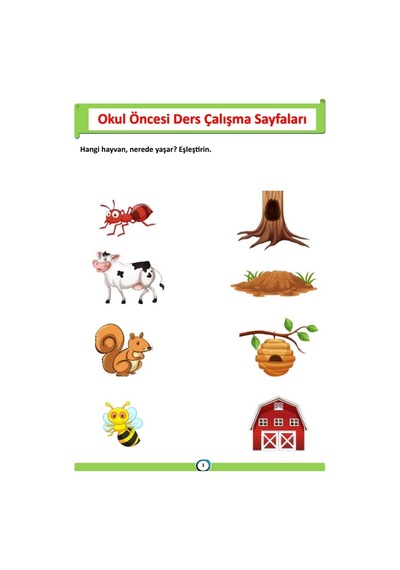 Okul Öncesi Ders Çalışma Pdf Eğitim Seti