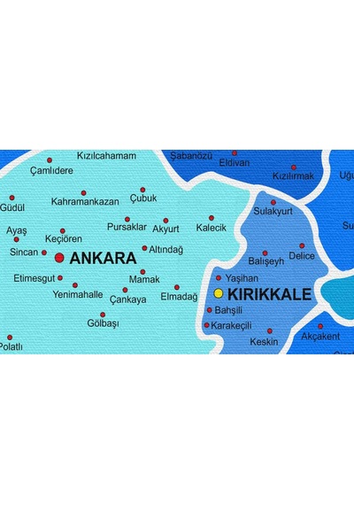 Doğaltercih Türkiye Haritası Kanvas Tablo İl ve İlçeli Ayrıntılı Eğitici-Öğretici Komşulu Dekoratif Tablo 3002