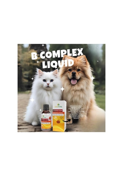 Kediler İçin B Plus Damla 50 Ml + Steril Malte Paste 100 Gr Kısırlaştırılmış Kediler İçin Vitamin