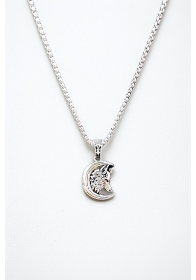 Ak Store Silver Gümüş Kaplama Krom-Çelik Erkek Kolye Madalyon Hilal İçinde Bozkurt Gümüş