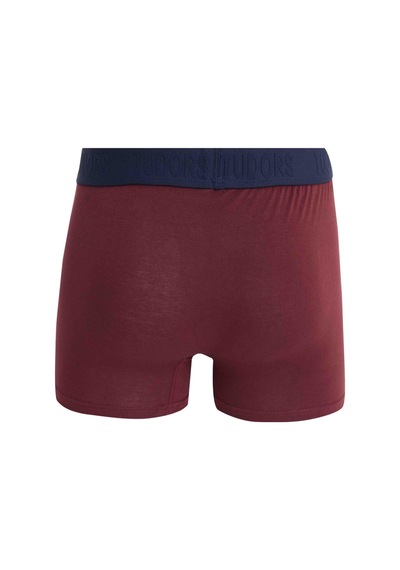 Tudors Erkek 2'li Pamuk Likralı Esnek Kumaş Boxer-33211 Multi
