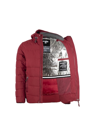 Evolite Vertex Erkek Mont Bordo