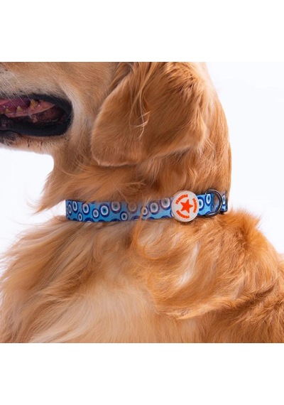 Pawstar Charm Boyun Tasması M Boyun Çevresi: 32 Cm X 48 Cm Çok Renkli