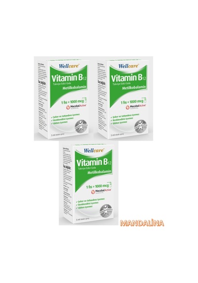 3 X Wellcare Vitamin B12 Metilkobalamin 1000Mcg 5Ml Sprey