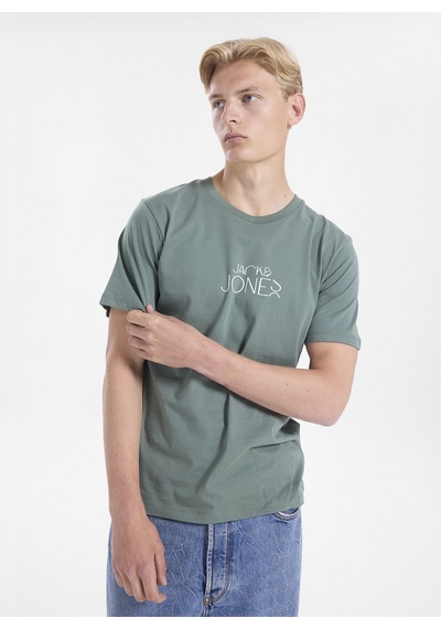 Jack & Jones Yeşil Erkek %100 Pamuk Regular Fit T-shirt 12306242 Jorcurve Tee Ss Crew Bss26