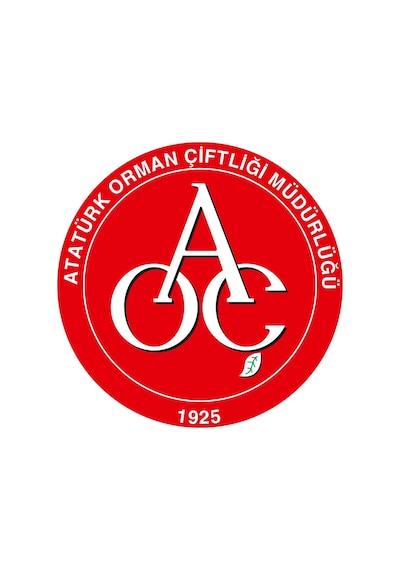 Elmacık Atatürk Orman Çiftliği Su 330 Ml 72'li