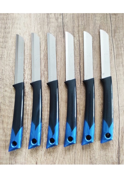 Solingen Marka Meyve Bıçağı 6'lı Set - Siyah Mavi