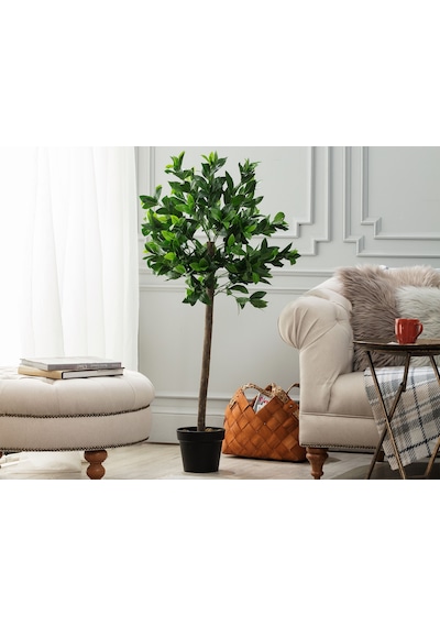 Madame Coco Fleurir Saksılı Bitki 1kcıck1742 120cm-std