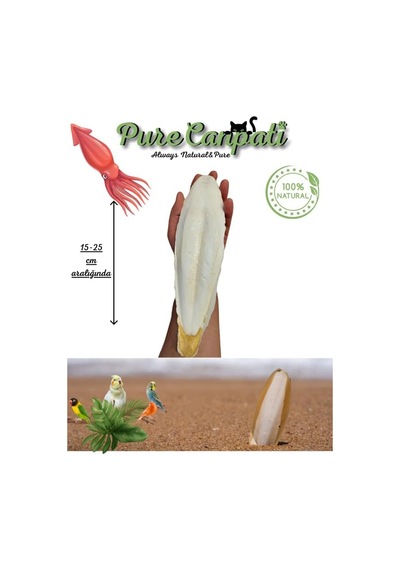 Xl Kalamar Kemiği İri Boy 15-20 Cm Aralığında