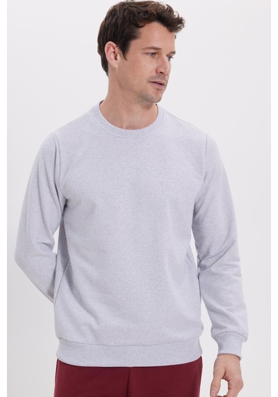 Tudors Erkek Relax Fit Rahat Kesim %100 Pamuk 2 İplik Bisiklet Yaka Gri Sweatshirt -41516 Gri