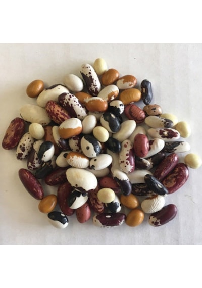 Geleneksel Mixed Fasulye Tohumları 10 Tohum