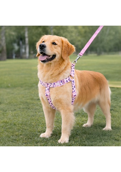 Swissplus Urban Paws Pink Leo Geri Dönüştürülmüş H-tipi Köpek Göğüs Tasması-small Pembe - Pudra