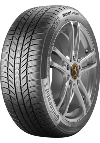 Continental 205/50R17 93V XL Fr Ts870P Kış Lastiği 2025