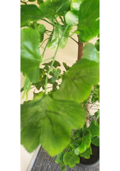 Rüzgar Çiçekcilik 180 Cm Sakura Ağacı Yeşil