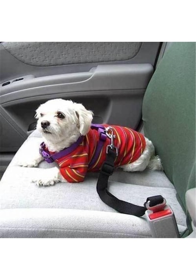 Araç Araba Köpek Kedi Emniyet Kemeri Tasması Oto Aksesuarı Evcil Siyah