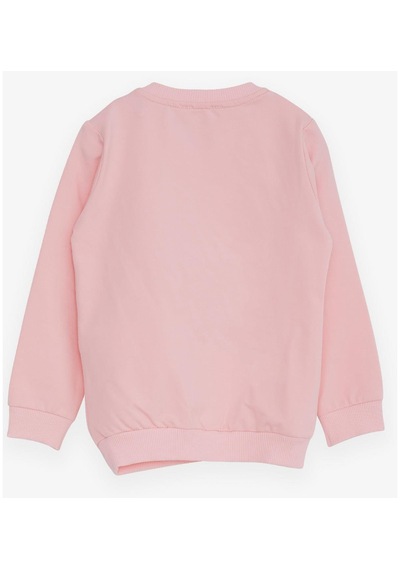 Breeze Kız Çocuk Sweatshirt Ayıcık Aksesuarlı 1.5-5 Yaş, Pembe-pembe Pembe Breeze Kız Çocuk Sweatshirt Ayıcık Aksesuarlı 1.5-5 Yaş, Pembe-pembe Pembe