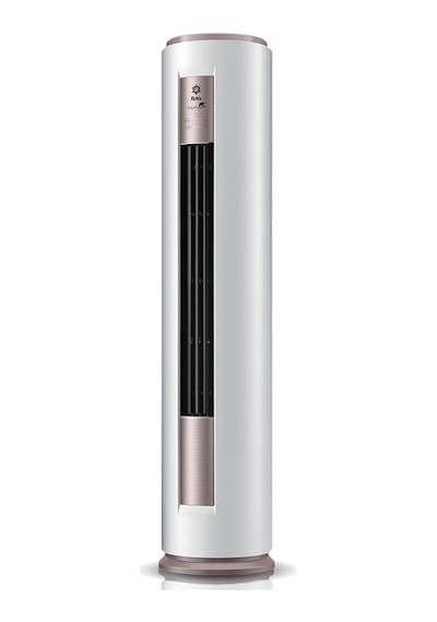 Rota Polar Bear 24000 BTU Salon Tipi Klima