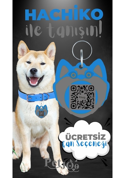 Petjoo 19.Hachiko Gri-Mavi Qr'lı Köpek Künyesi