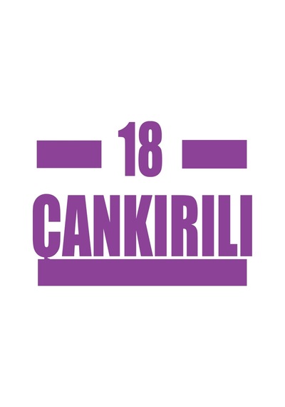 18 Çankırılı Araba Sticker 17x17 Cm Mor