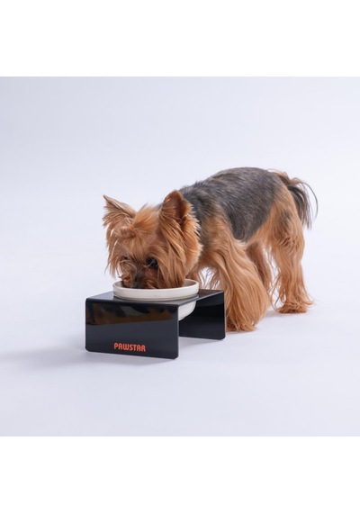Siyah Tekli Seramik-pleksi Mama Ve Su Kabı-kedi Köpek Mama Su Kabı
