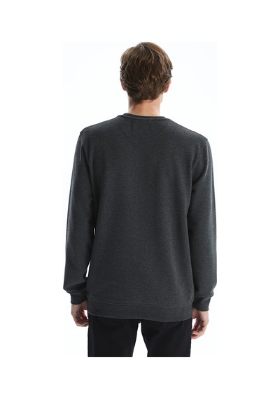 Lcwaıkıkı Classic Antrasit Bisiklet Yaka Uzun Kollu Baskılı Erkek Sweatshirt