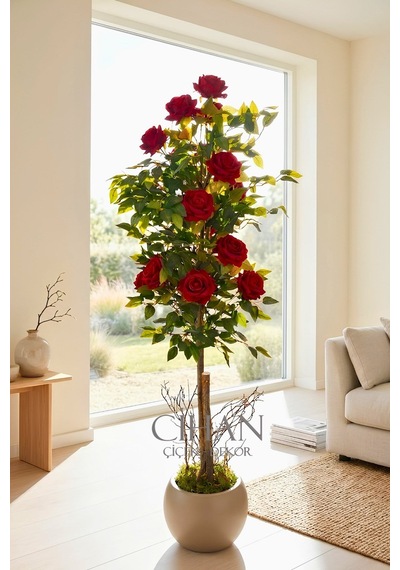 Yapay 10 Güllü Kırmızı Gül Ağacı 150 Cm 27x33 Mocha Küre Saksılı Beyaz
