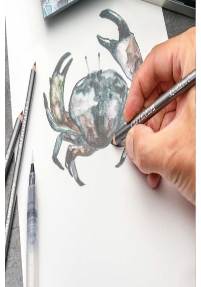 Canson Eskiz Defteri Cretacolor 6'lı Aquarell Sulandırılabilir Fırçalı Eskiz Dereceli Çizim Seti