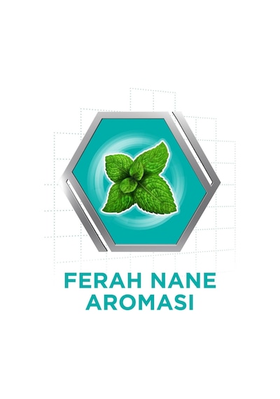 Diş Protezi Yapıştırıcı Krem Naneli 40gr