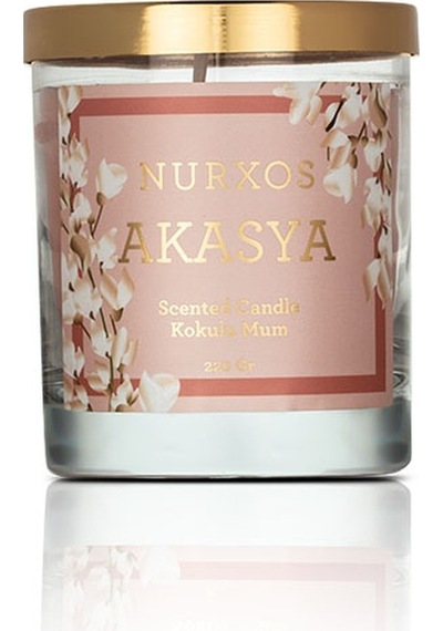 Nurxos 9684 Akasya Kutulu 2 Adet Kokulu Mum + Freshener Oda Spreyi