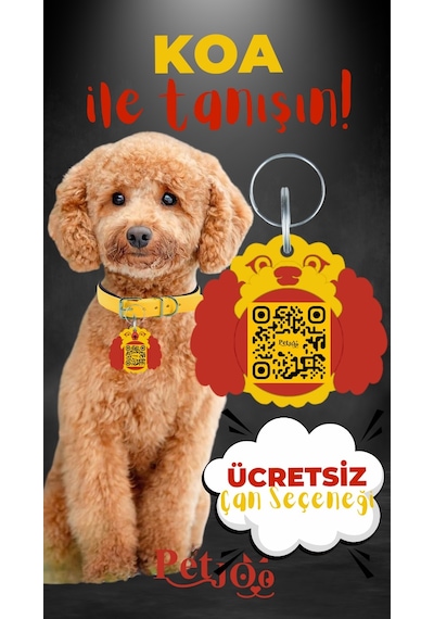Petjoo 14.Koa Kırmızı-Sarı Qr'lı Köpek Künyesi