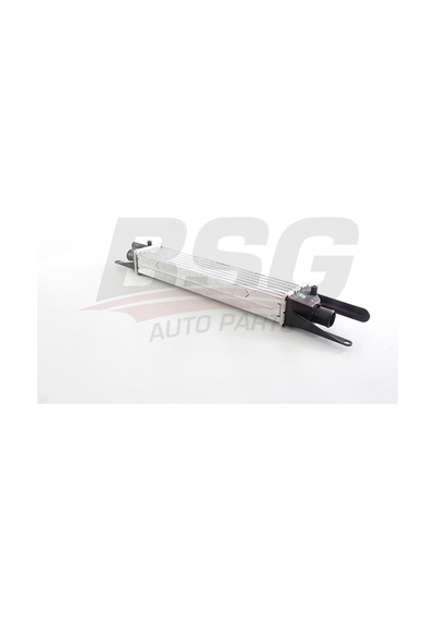Bsg Turbo Radyatoru Intercooler 450 X 102 X 50 - Lınea 2007-