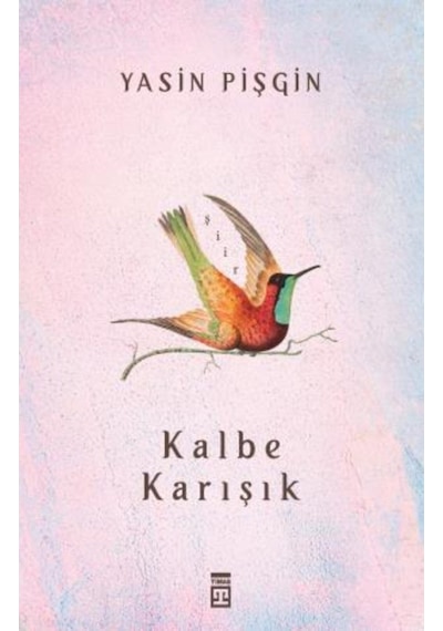 Yasin Pişgin Set 4 Kitap