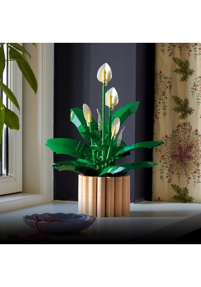 LEGO® Botanicals Barış Çiçeği 11504 - Yetiskinler için 6 Baris Çiçegi Içeren Koleksiyonluk Dekoratif Model Yapim Seti (474 Parça)