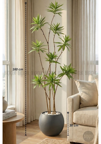 Biçiçek Yapay Dragon Bi̇tki̇si̇ 160 Cm Antresi̇t Küre Saksıda