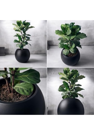Dekoratif Küre Saksı, 27l, Ø35 Cm Boyutlarında, Beton Görünümlü Tasarım