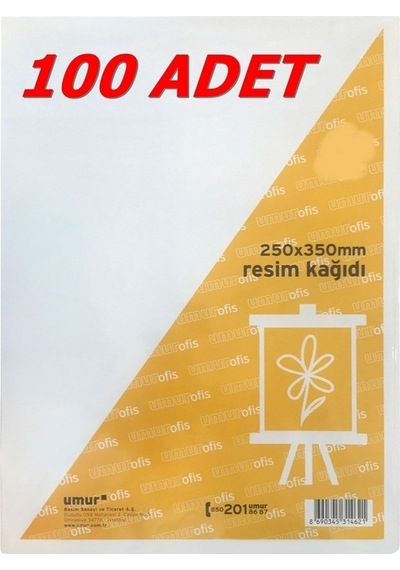 25x35 Cm Resim Kağıdı 100 Adet 120 Gr