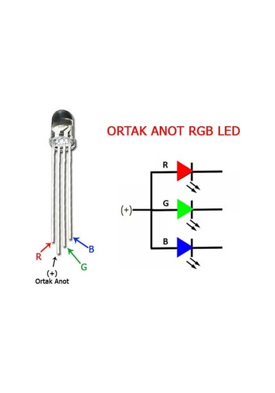 5 Adet 5Mm Rgb Led (Ortak Anot) N11.1176