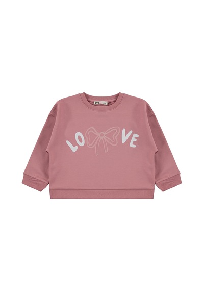 Civil Girls Love Baskılı 2-5 Yaş Sweatshirt - Pembe Gül Kurusu Civil Girls Love Baskılı 2-5 Yaş Sweatshirt - Pembe Gül Kurusu